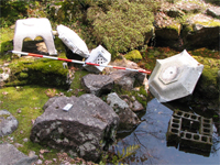 調査風景1